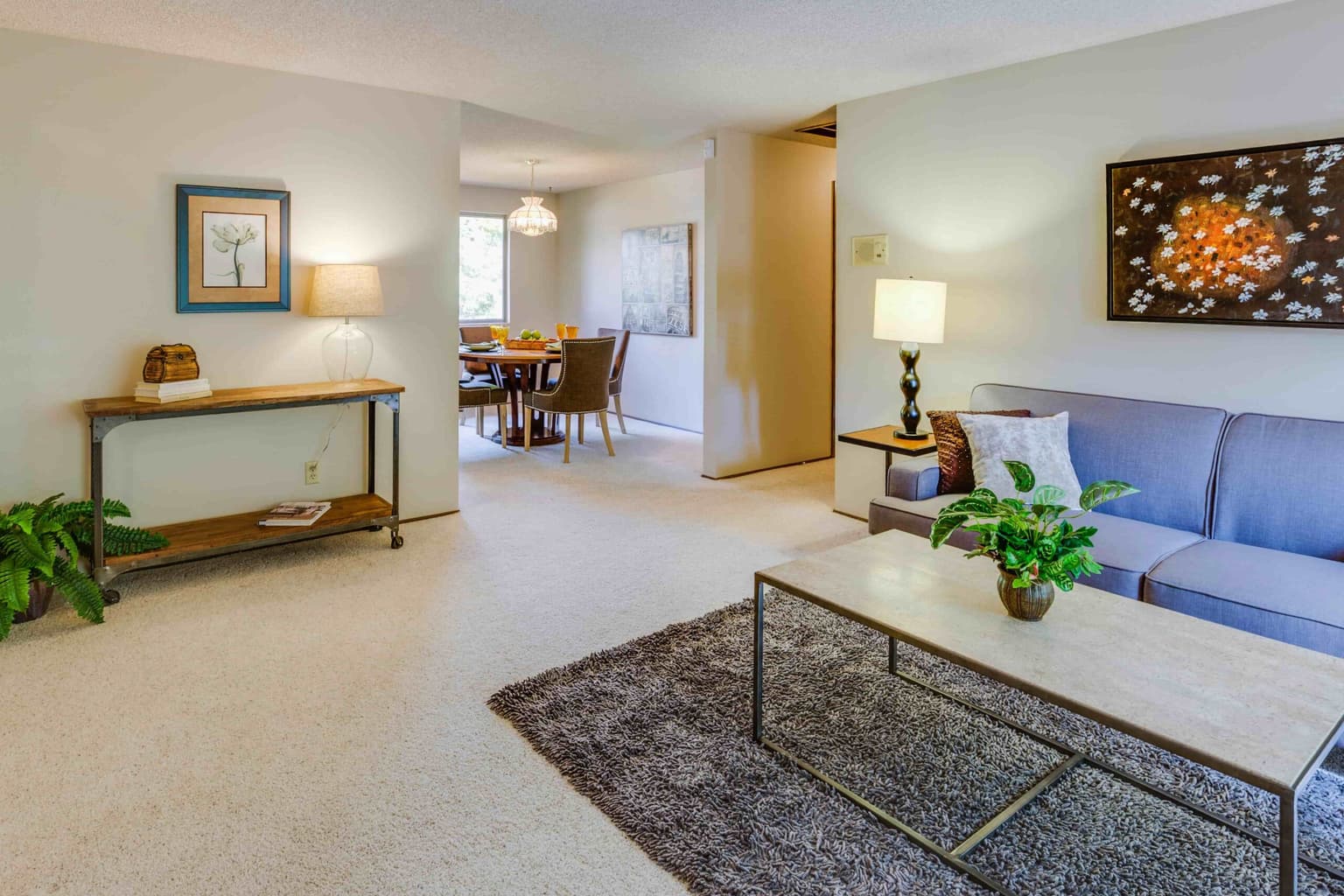 About Safe-Dry Carpet Cleaning of Conroe