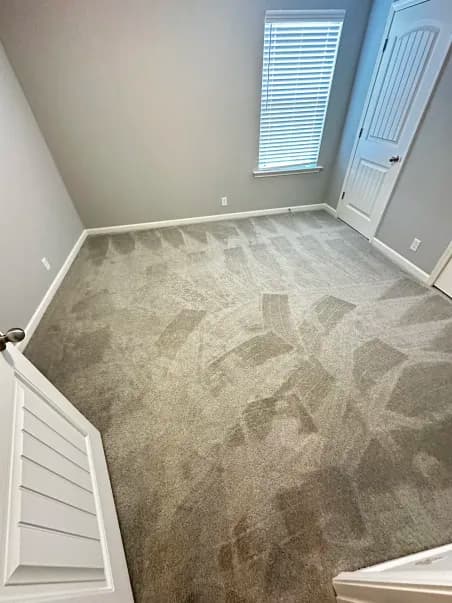 Carpet Cleaning with Pet Odor and Stain Removal in Conroe, TX 77301