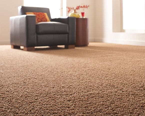 Carpet Cleaning