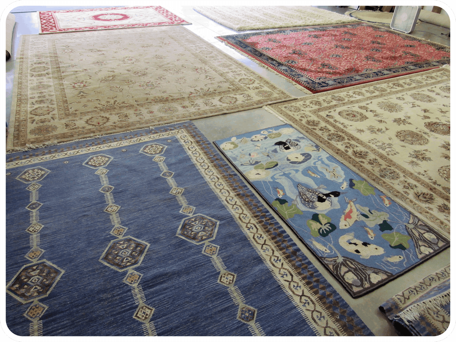 Oriental Rug Cleaning