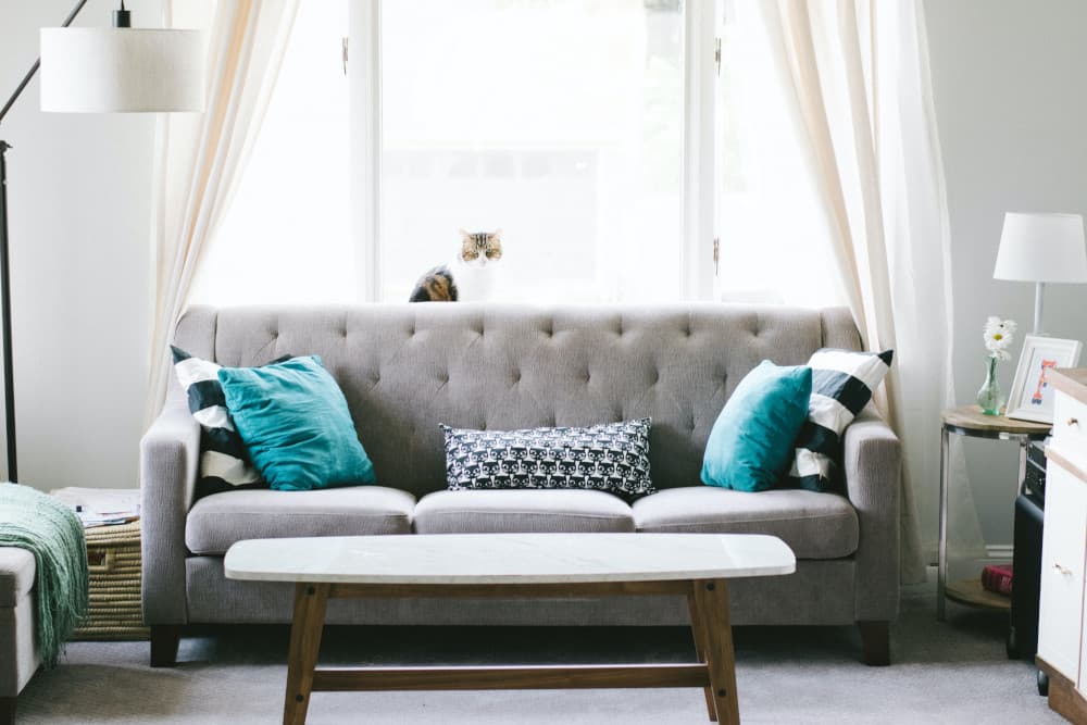 Upholstery Cleaning in Conroe, TX
